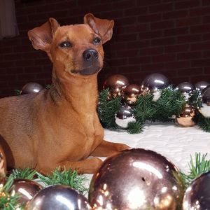 Meet your Posher, Lori